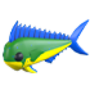 Mahi Mahi